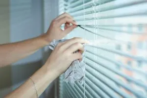Professional Mattress Cleaning